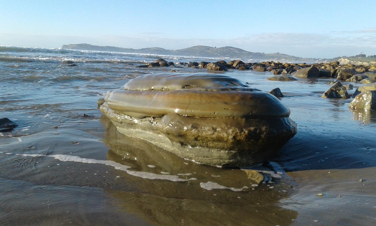 Moeraki Boulders Motel Hampden Kültér fotó